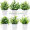 Artificial Bonsai Eucalyptus Potted Plant For Indoor Outdoor Decor 5