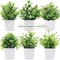 Artificial Bonsai Eucalyptus Potted Plant For Indoor Outdoor Decor 5