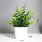 Artificial Bonsai Eucalyptus Potted Plant For Indoor Outdoor Decor 7