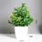 Artificial Bonsai Eucalyptus Potted Plant For Indoor Outdoor Decor 13