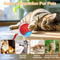 Interactive Smart Rolling Pet Ball Toy With Faux Tail For Dogs And Cats 5