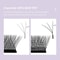 DIYDAY W Shape Eyelash Extensions Premade Fan Volume Lashes 4