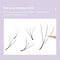 DIYDAY W Shape Eyelash Extensions Premade Fan Volume Lashes 5