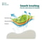 Ergonomic Contour Memory Foam Cervical Pillow 2