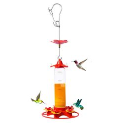 hanging anti ant leakproof hummingbird bird feeder