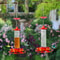 Hanging Anti Ant Leakproof Hummingbird Bird Feeder 3