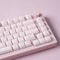 OEM Profile Pink Jello Crystal Keycap Set For MX Switches 0