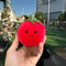 Fruit Plush Doll Smiling Peach Cherry Pear Plush Toy 14