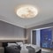 Modern Lunar Design Round LED Ceiling Lamp 1