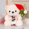 Dr Bear 25cm Graduation Plush Toy 6