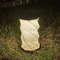 Folding Book Lamp Portable Paper Lantern Dimmable Night Light 3