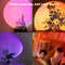 Sunset Light With Earbuds And Remote Control 16 Color Atmosphere Lamp 2