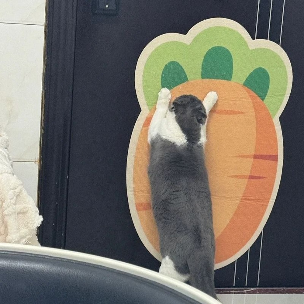 Self Adhesive Cat Scratch Mat Cartoon Design Multi Purpose Pet Mat 2