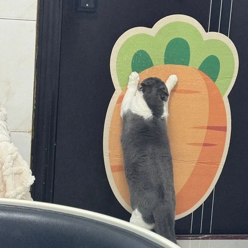 Self Adhesive Cat Scratch Mat Cartoon Design Multi Purpose Pet Mat 2