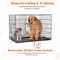 Double Door Folding Metal Wire Dog Cage With Leak Proof Tray For Indoor And Outdoor Use 3