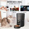 NPET 4L Automatic Smart Pet Feeder For Cats And Dogs 3