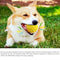 Pet Dog Ball Chew Toy For Small Medium And Large Dogs 3