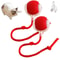 Automatic Rolling Ball Pet Toy Charging Smart Cat Dog Chase Toy 11