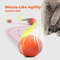 Interactive Rolling Ball Toy For Cats And Dogs USB Rechargeable Smart Pet Toy 1