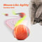 Interactive Rolling Ball Toy For Cats And Dogs USB Rechargeable Smart Pet Toy 1