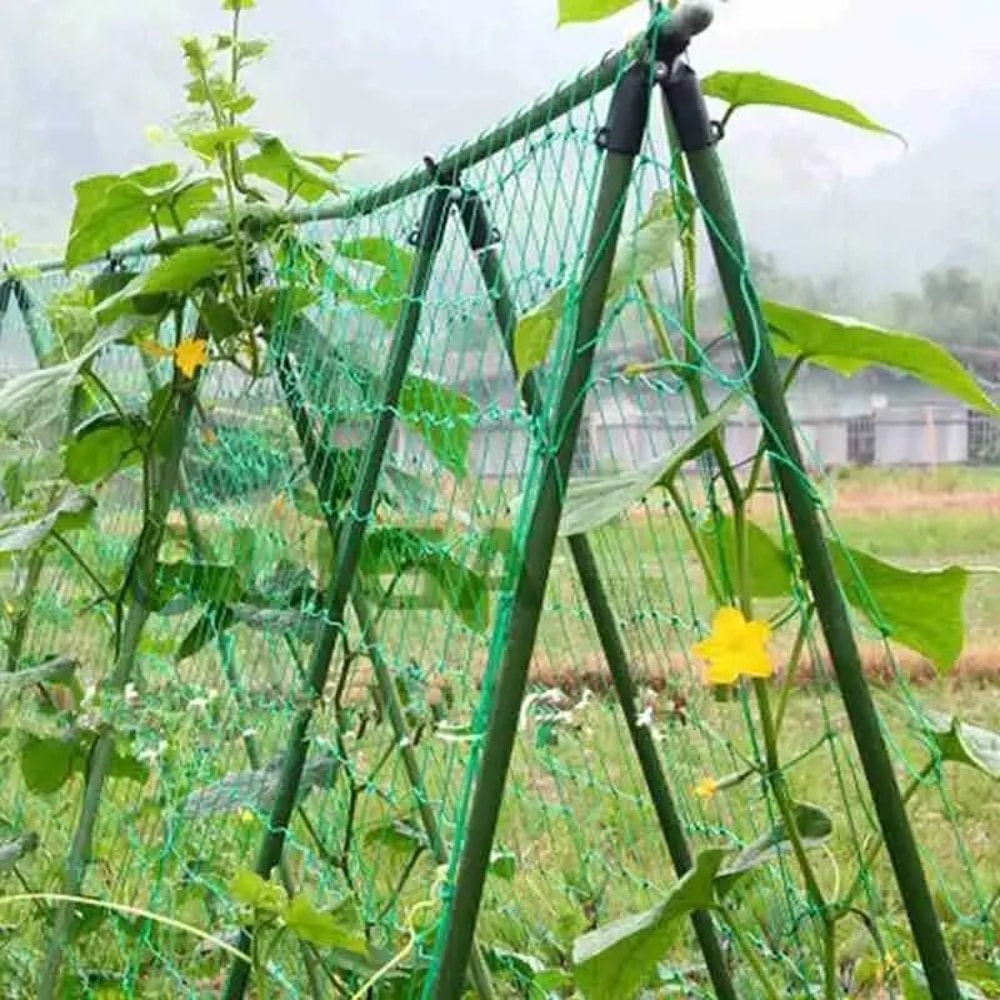 Plant Support Awning Pillar Accessories Set 5 Pack For Climbing Vines And Garden Pipe Brackets 5