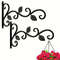 Rustic Wrought Iron Wall Bracket Plant Hooks 2 Pack For Indoor And Outdoor Use 6