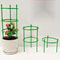 Rust Resistant Tomato Cage Plant Support For Garden Veggies 0