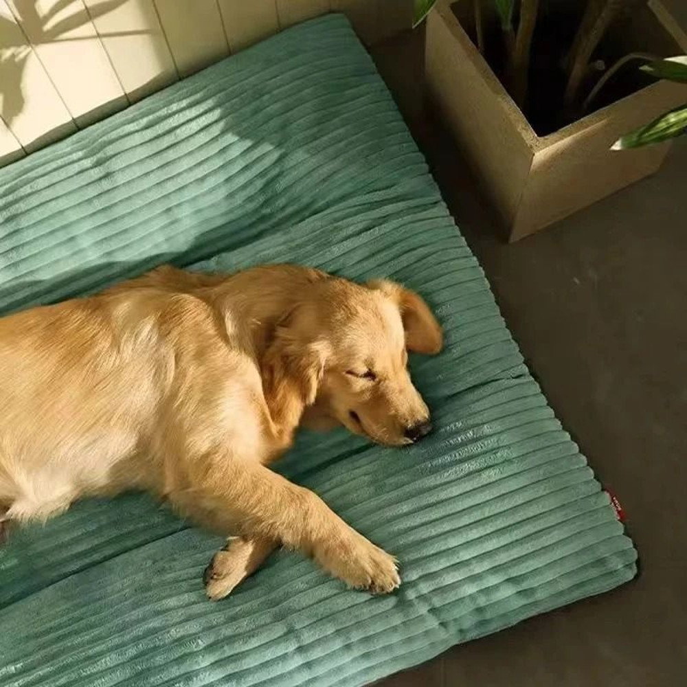 Winter Warm Pet Dog Bed Corduroy Dog Sleeping Mat Soft Pet Mat Detachable Washable Puppy Bed 1