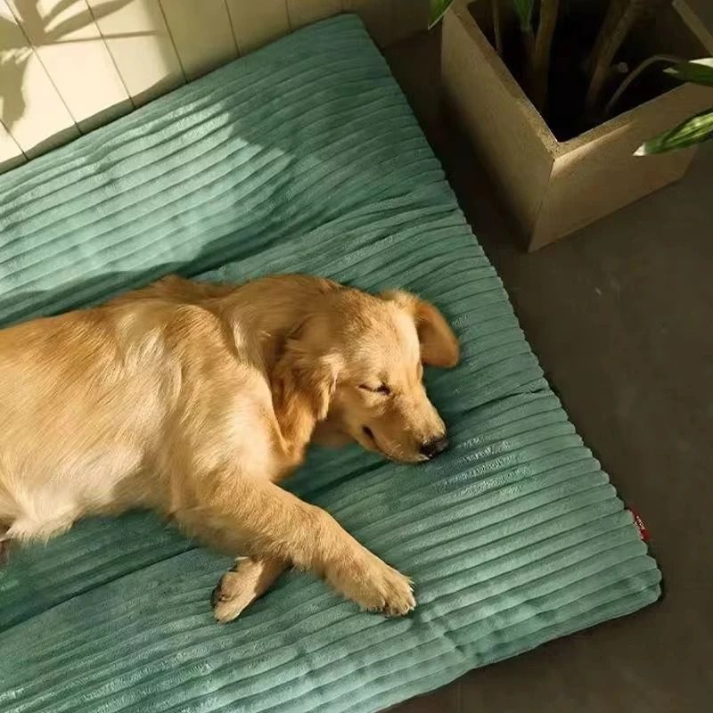 Winter Warm Pet Dog Bed Corduroy Dog Sleeping Mat Soft Pet Mat Detachable Washable Puppy Bed 1
