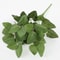 Artificial Plants Leaves Silk Tortoiseshell Leaf Dieffenbough Fake Green Plant Living Room Decor 1