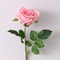 Artificial Real Touch Latex Rose Flowers White Pink Fake Latex Roses For Home Decor 9