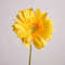 Artificial Gerbera Real Touch Cloth Flowers Home Decor 12