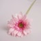 Artificial Gerbera Real Touch Cloth Flowers Home Decor 2