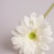 Artificial Gerbera Real Touch Cloth Flowers Home Decor 3
