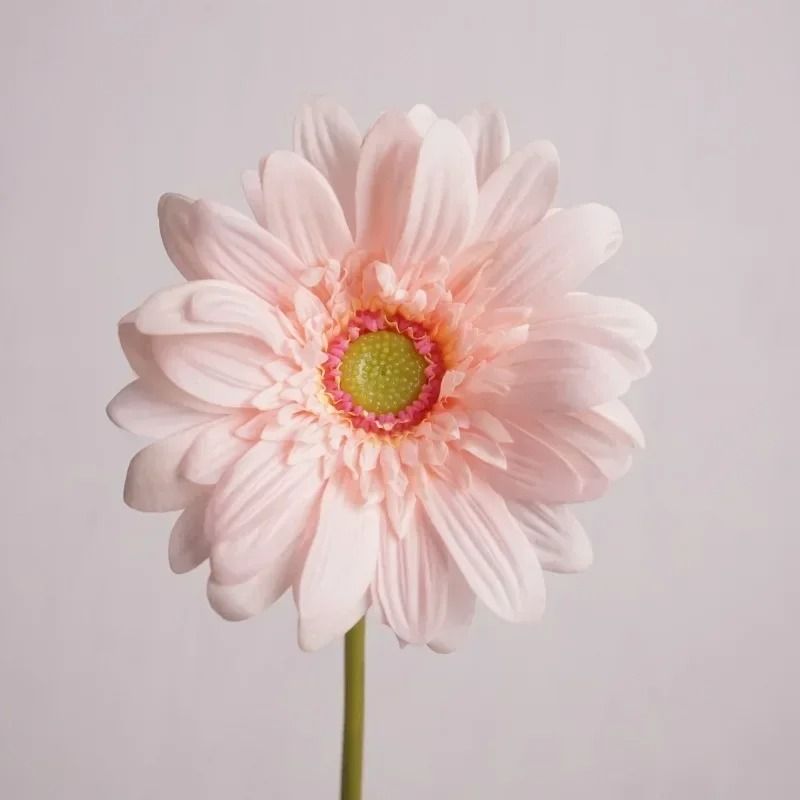 Artificial Gerbera Real Touch Cloth Flowers Home Decor 7