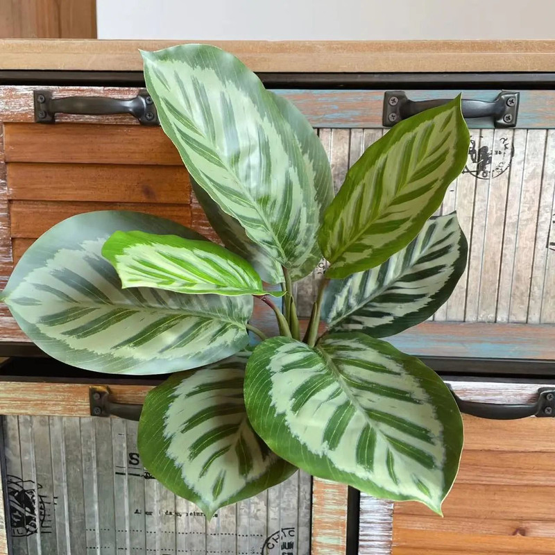 Fake Plants Leaf Apple Evergreen Peacock Leaves Artificial Greenery Home Decor 6