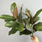 Artificial Magnolia Leaf Branches Green Plant Decoration Pack 2 1