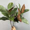 Artificial Magnolia Leaf Branches Green Plant Decoration Pack 2 2