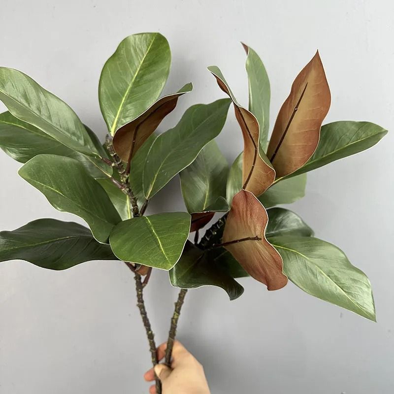 Artificial Magnolia Leaf Branches Green Plant Decoration Pack 2 2
