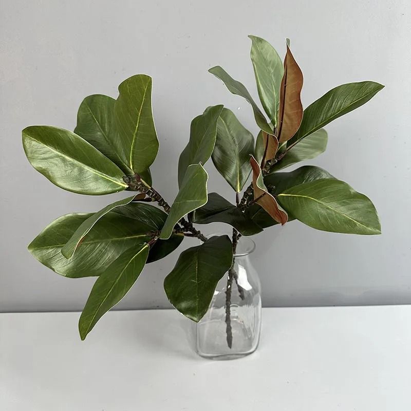 Artificial Magnolia Leaf Branches Green Plant Decoration Pack 2 3