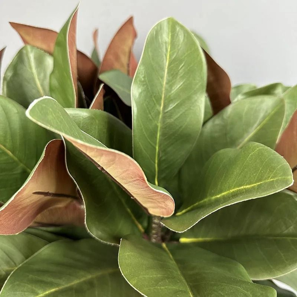 Artificial Magnolia Leaf Branches Green Plant Decoration Pack 2 4