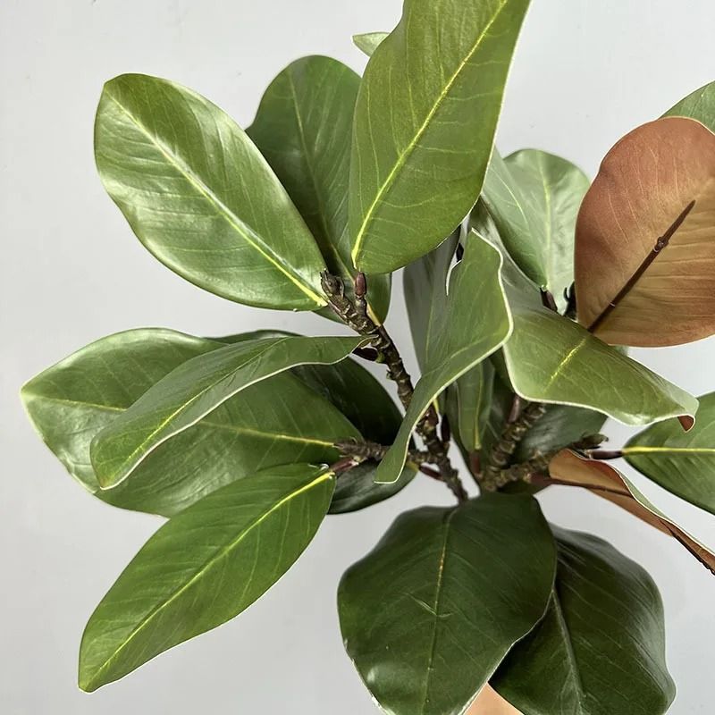 Artificial Magnolia Leaf Branches Green Plant Decoration Pack 2 5