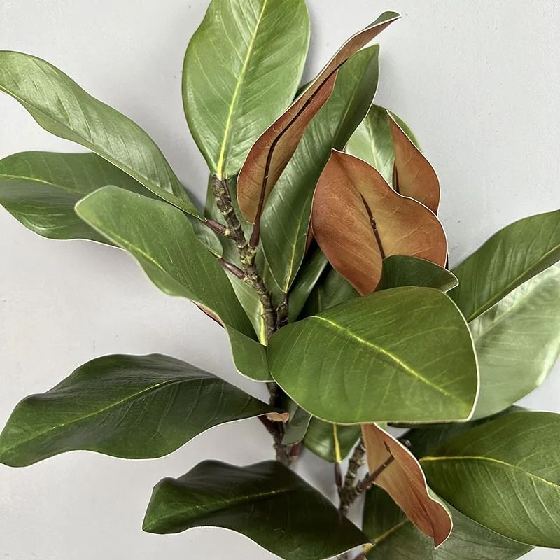 Artificial Magnolia Leaf Branches Green Plant Decoration Pack 2 6