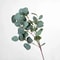 Artificial Eucalyptus Long Stem Branches For Home Decor 0