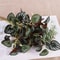 Artificial Plastic Plants Wall Grass Greenery Home Decor 5