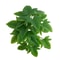 Artificial Plant Bonsai Fake Leaves Plastic Arrangement 15