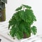 Artificial Plant Bonsai Fake Leaves Plastic Arrangement 2