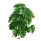 Artificial Plant Bonsai Fake Leaves Plastic Arrangement 7