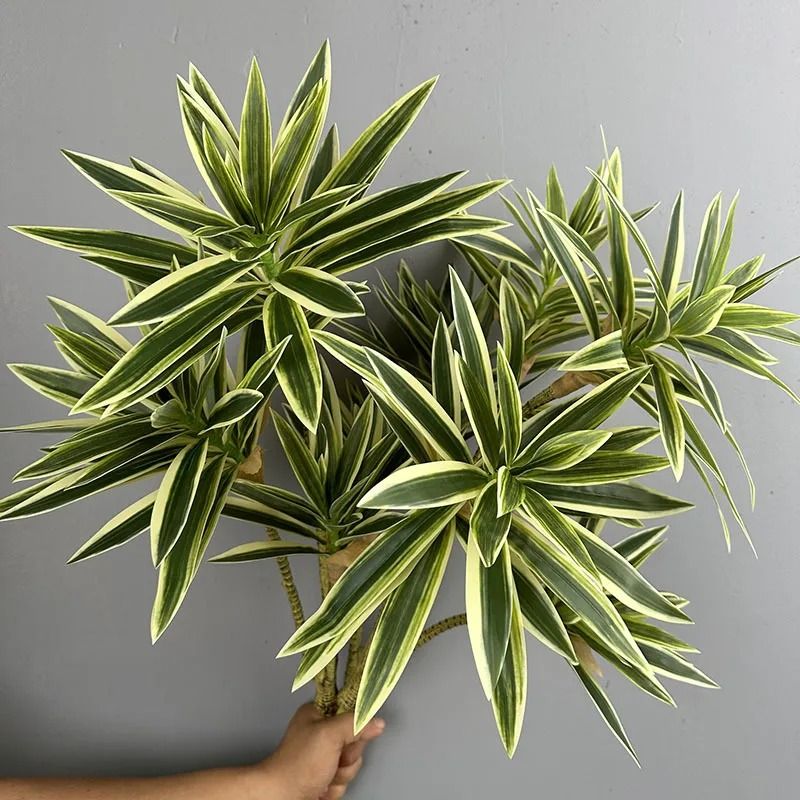 Artificial Brazil Wood Rich Bamboo Plastic Green Tropical Plant Home Garden Decoration 2