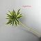 Artificial Brazil Wood Rich Bamboo Plastic Green Tropical Plant Home Garden Decoration 8